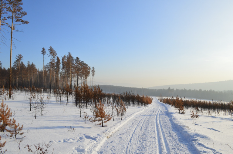 Siberia podría ser habitable al final de siglo por el calentamiento global