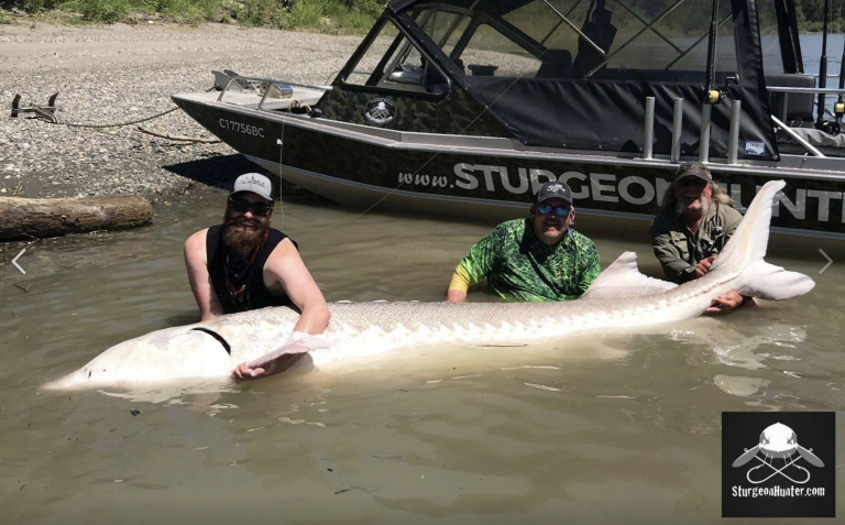 Unos pescadores atrapan una ‘bestia’ de casi 400 kilos