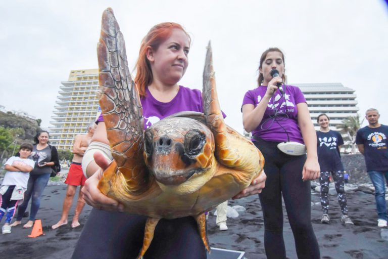 Loro Parque Fundación celebra el Día Mundial de los Océanos con una gran limpieza de plástico y una suelta de tortugas