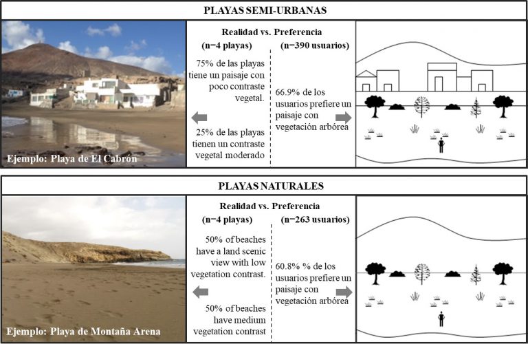 La Universidad de Las Palmas de Gran Canaria, estudia el impacto humano en las playas a través de su vegetación