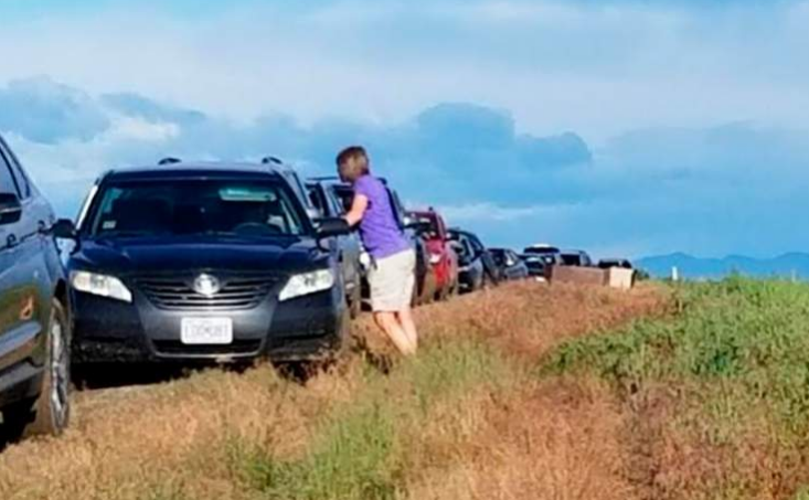 Más de 100 coches acaban en un campo vacío siguiendo una ruta de Google Maps