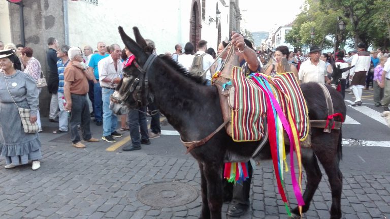 La tradicional Noche de los Burros homenajea al lobito herreño