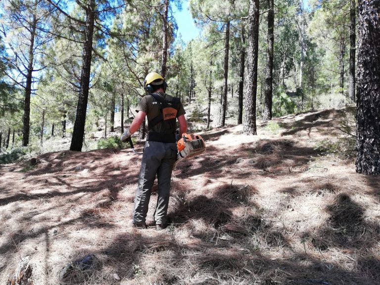 El Cabildo acondiciona la finca de Los Patios para prevenir los incendios forestales