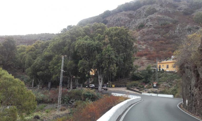 El desmonte de laderas en el Toscón Alto obliga al cierre de la carretera de Teror también los fines de semana 