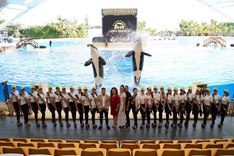 Miss Norte da su pistoletazo de salida en Loro Parque