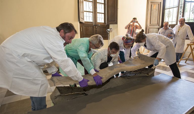 Los trabajos en el sarcófago romano de Granada se centran en extraer el cráneo