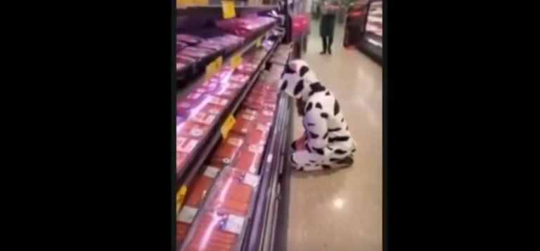 Una vegana disfrazada de vaca llora desconsolada frente a la sección de carne en un supermercado