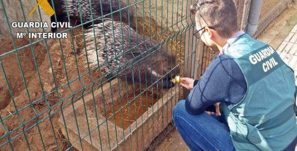 Detenido un hombre por abrir un zoo clandestino en Badajoz