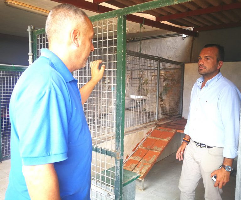 El Ayuntamiento de Santa Brígida colabora con el Colegio de Veterinarios de Las Palmas