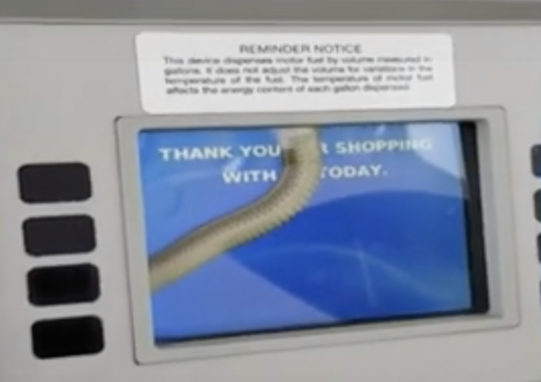 Graban a una serpiente atrapada en la  pantalla táctil de un surtidor de una gasolinera