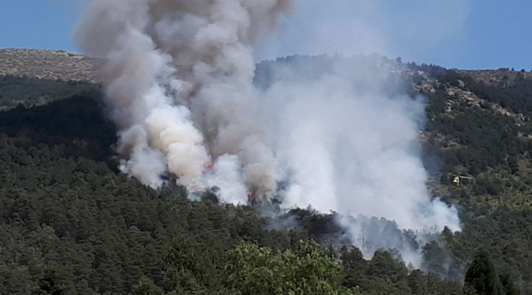 Ecologistas aseguran que las zonas quemadas en Madrid necesitarán 50 años para recuperarse