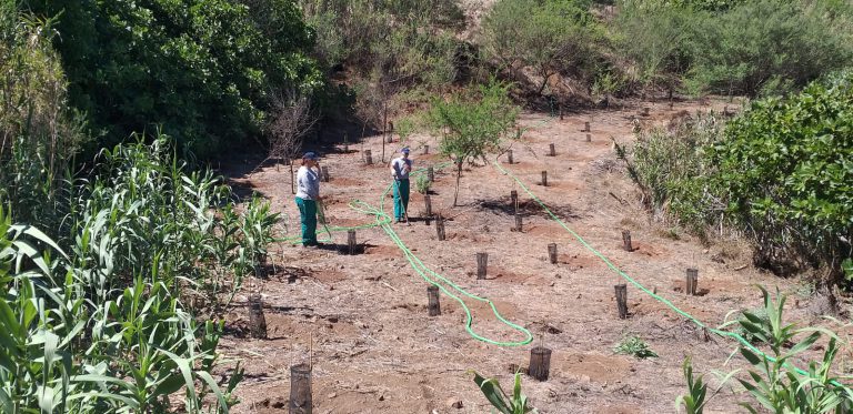 Foresta imparte formación cualificada a 21 desempleados de Gran Canaria