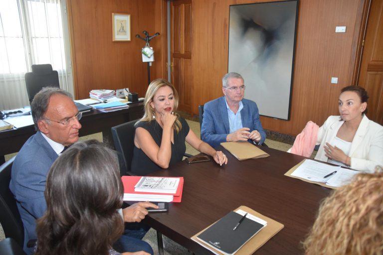 La presidenta del Cabildo recibe al Grupo Territorial Socialista Canario en el Senado