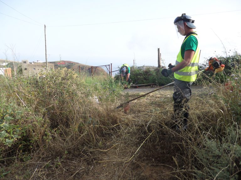 El Ayuntamiento de Santa María de Guía ejecuta la recuperación de las vías rurales y la limpieza de las zonas de baño a través del proyecto ‘Ruralia 2019’