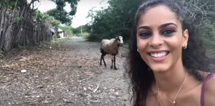 Una cabra embiste a una chica mientras se hacía un selfie con el animal