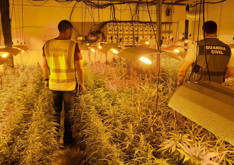 Descubren casi 2.000 plantas de marihuana en un polígono de Granada