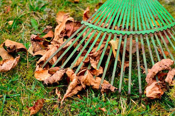 Cómo mantener nuestras piscinas y jardines