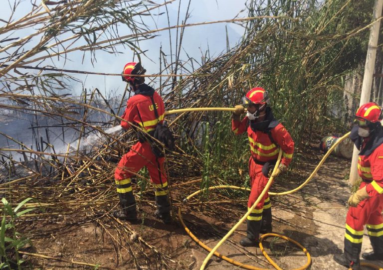 El incendio de Gran Canaria «remite» y «pierde potencial» tras arrasar más de 12.000 hectáreas