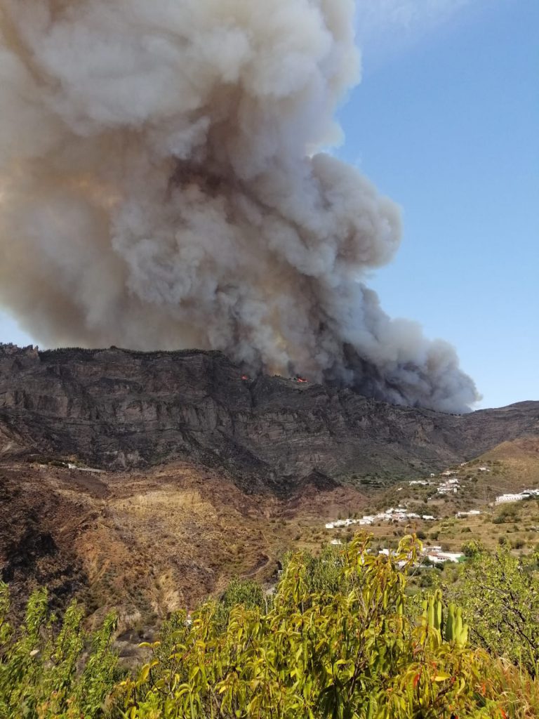 El fuego muy voraz, avanza con rapidez. Se ha solicitado desde el Cabildo de Gran Canaria pasar a Nivel 2