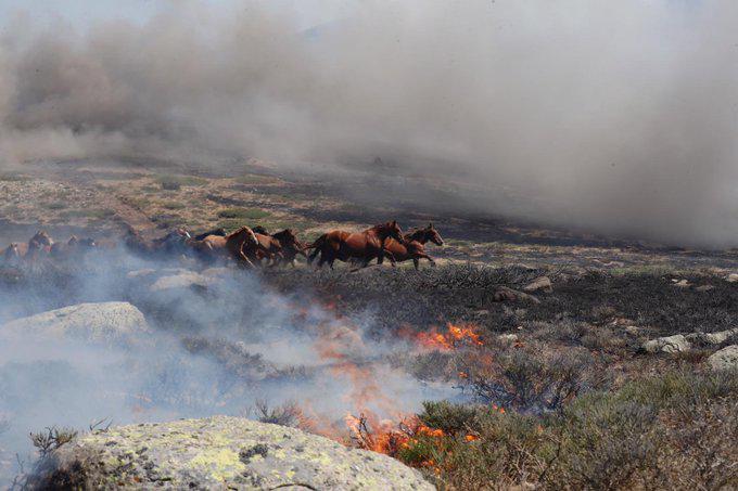 España «arde menos» este verano