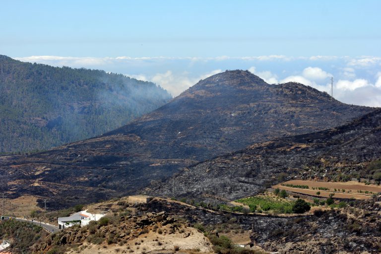 Los incendios forestales se apagan en invierno, según la federación Ben Magec-Ecologistas en Acción