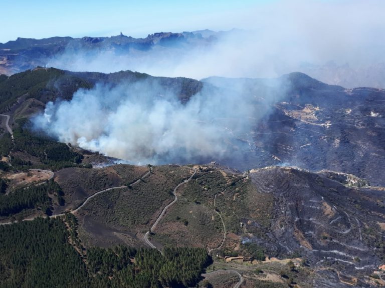 La superficie afectada por el incendio forestal de Gran Canaria ya supera las 1.500 hectáreas