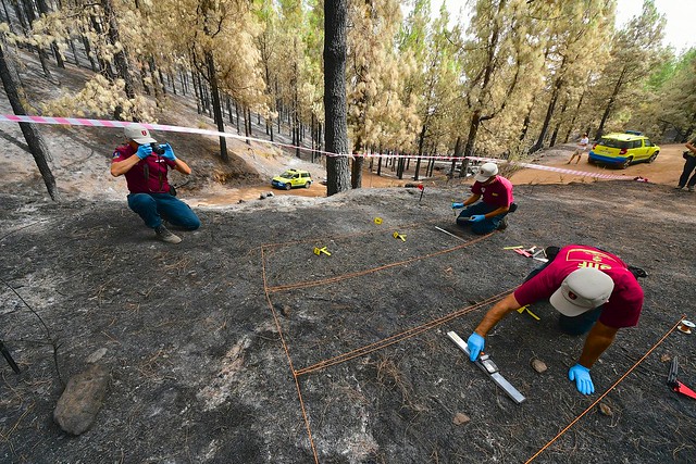 El Cabildo de Gran Canaria investiga el 100 % de los incendios forestales de la isla con una brigada que está a la cabeza del país