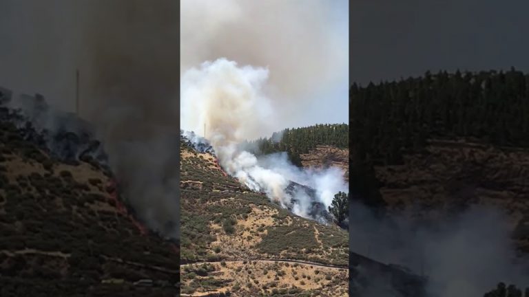 Aún continua sin ser controlado totalmente el incendio de la Cumbre de Gran Canaria