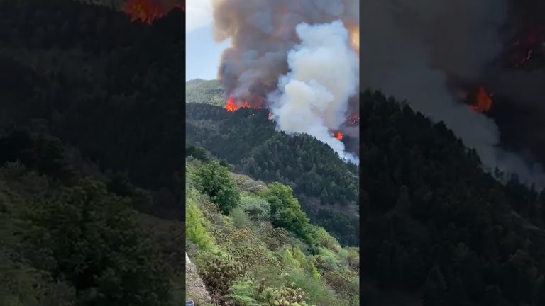 Nuevo conato que se ha convertido en un incendio en menos de una hora en Valleseco