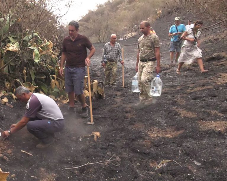 El Club de Caza Medianías Instala comedores y bebederos tras el incendio que afectó a la Villa de Ingenio