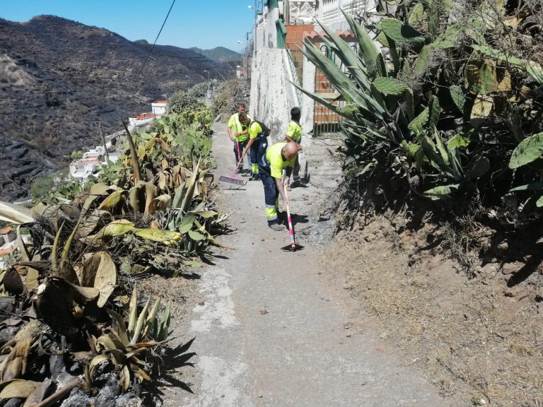 Los Servicios Municipales inician las labores para restablecer los servicios afectados por el incendio en la zona alta de Gáldar