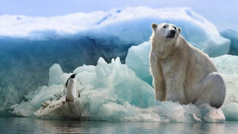 El hielo del Ártico y la Antártida se derrite