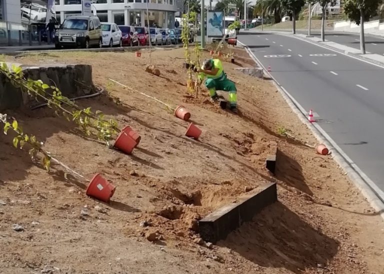 El Ayuntamiento crea nuevas zonas verdes y finaliza un parque canino en la Calzada Lateral del Norte