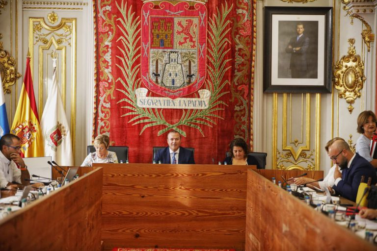 El Pleno de Las Palmas de Gran Canaria muestra su apoyo a la construcción del Telescopio de Treinta Metros en la isla de La Palma