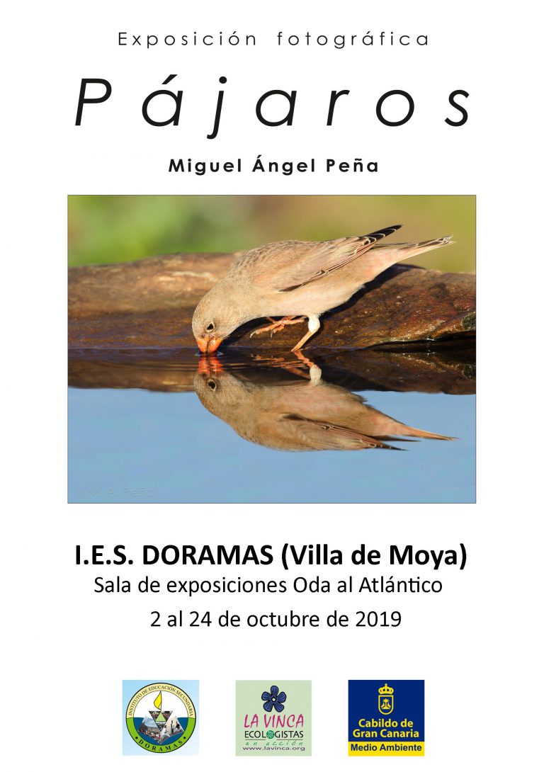 La sala de exposiciones Oda al Atlántico del  IES Doramas de la villa de Moya acoge la muestra fotográfica “PÁJAROS”