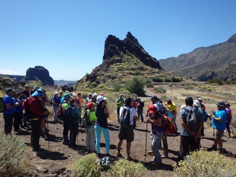 Fundación DISA apuesta por la formación en Patrimonio Histórico y Cultural de Canarias