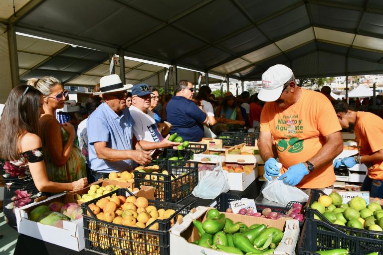 Éxito de venta y asistencia de la IV Feria del Mango y Aguacate de Mogán 