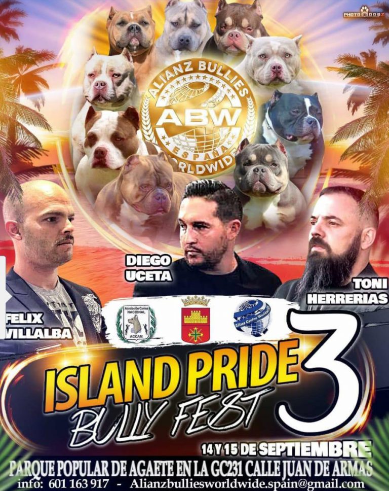 Agaete acoge el Island Pride Bully Fest 3