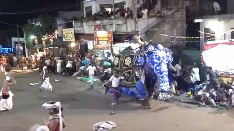 Dos elefantes desatan el pánico en un desfile al atacar al público