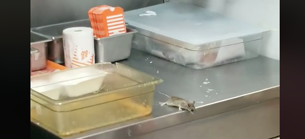 Vídeo: un ratón cae a la freidora de las patatas fritas de una hamburguesería