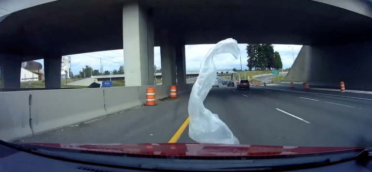 Terror en la autopista: una mujer conduce a ciegas después de que un plástico se quedara pegado en la luna de su coche