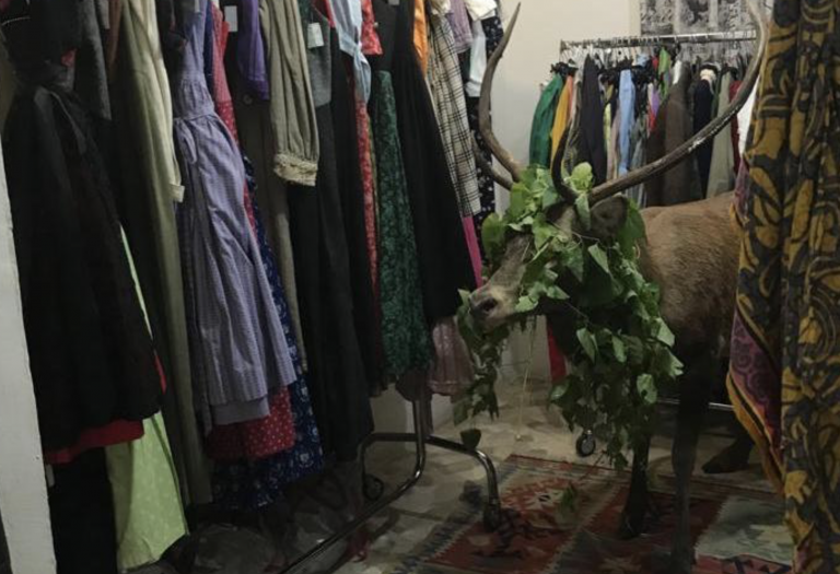 Un venado irrumpe en una tienda de moda en Italia