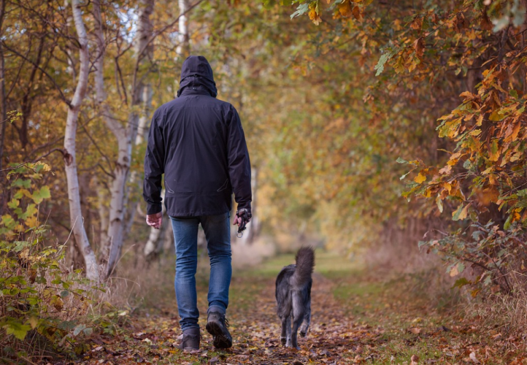 Este es el momento en el que un hombre es alcanzado por un rayo mientras pasea a sus perros