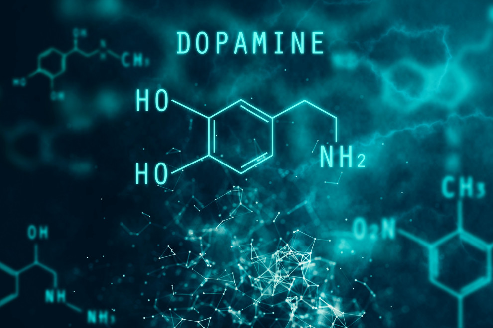 Dopamina-Miedo