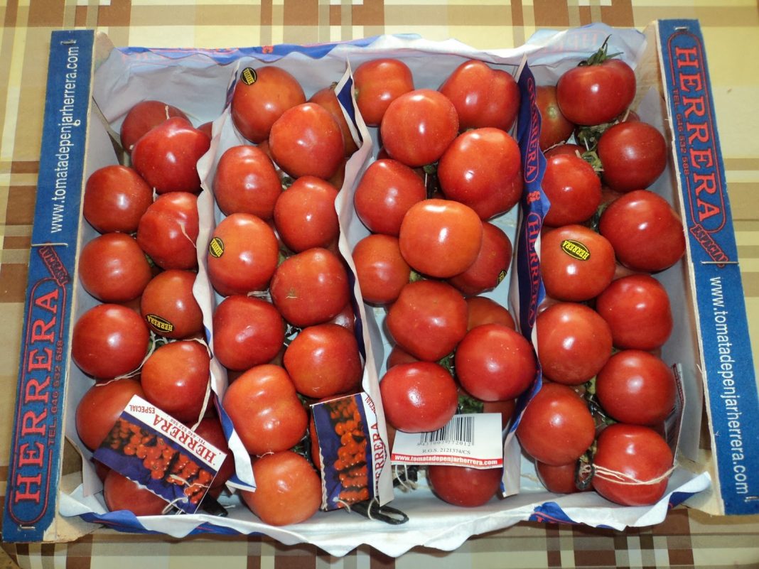 tomate penjar