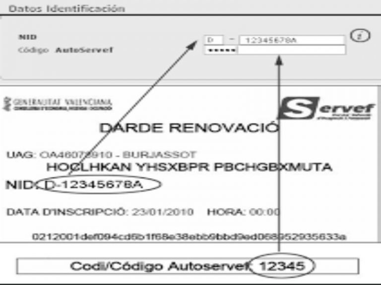 Cómo Renovar La Demanda De Empleo En España Paso A Paso 5831