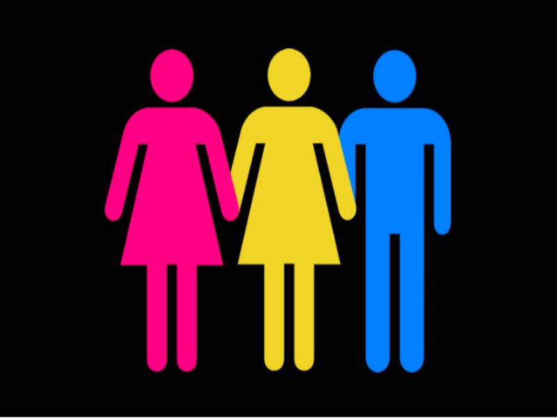 Qué Es Ser Pansexual Diferencias Entre La Bisexualidad