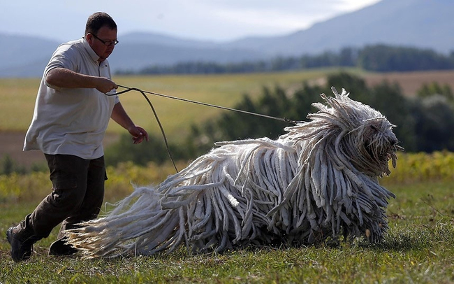 12 criaturas maravillosas que existen, aunque no te lo creas