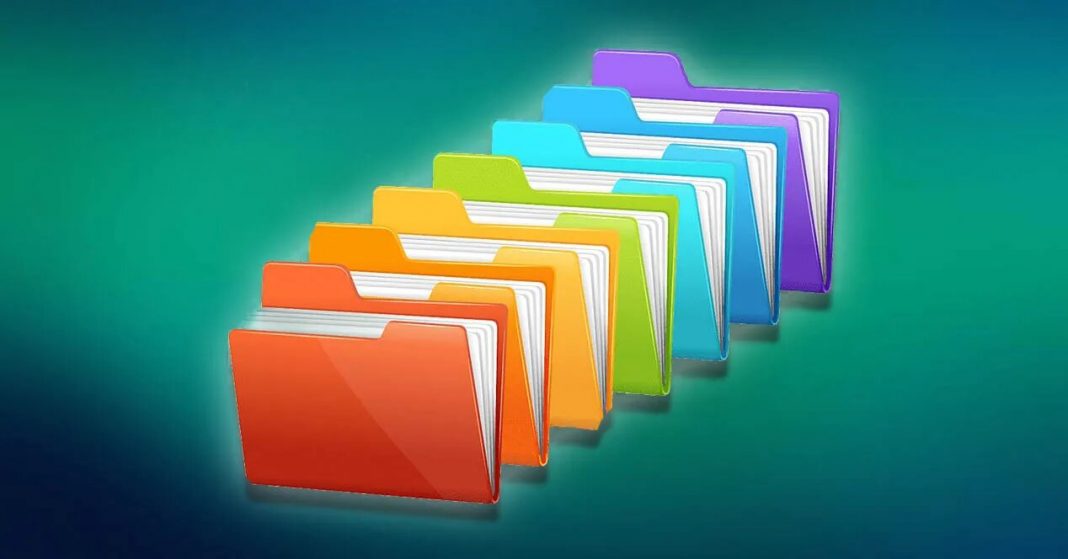 organize my files para windows