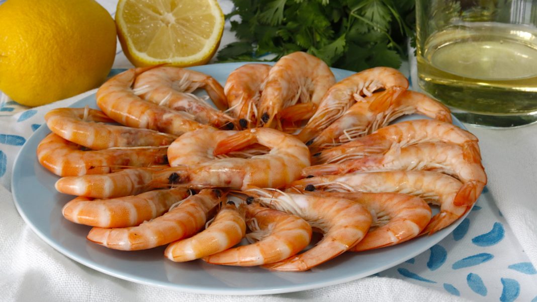 gambas